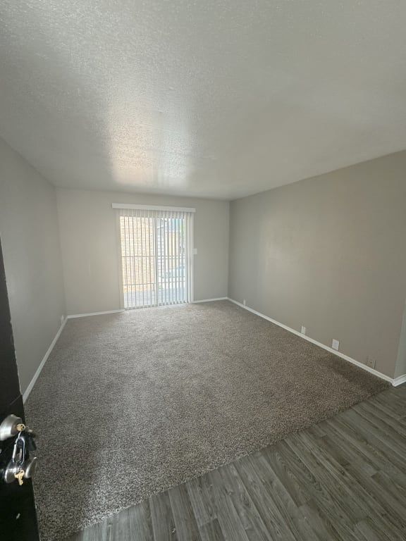 an empty living room with carpet and a window