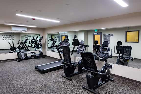 A gym with treadmills, exercise bikes, and other equipment.