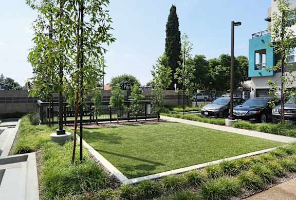 A park with a green lawn and trees.