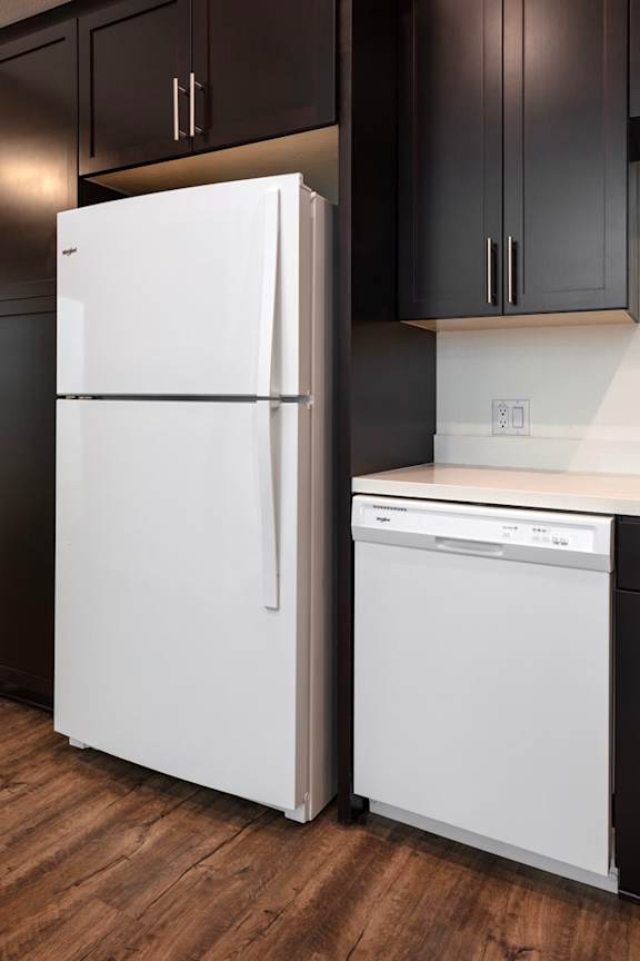 A white refrigerator and a white dishwasher in a kitchen.