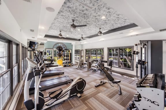 A gym with treadmills, weights, and exercise equipment.