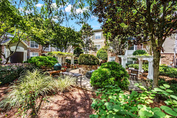 A backyard with a table and chairs surrounded by green plants.