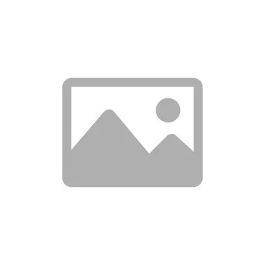A grey icon of a camera with a white background.