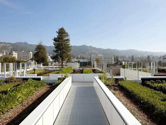 A long white walkway leads through a landscaped area with a city in the background.
