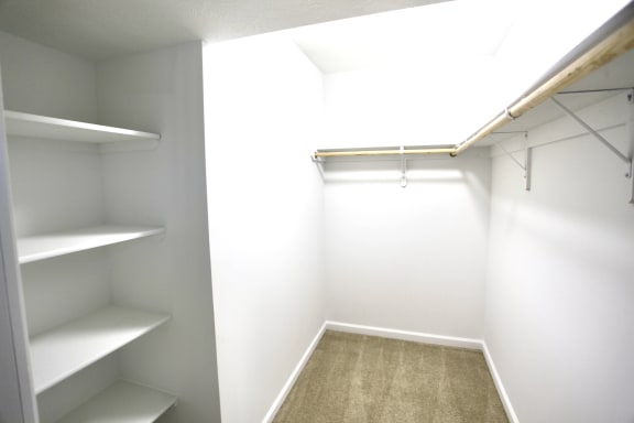 Large Walk-in Closet in Bedroom