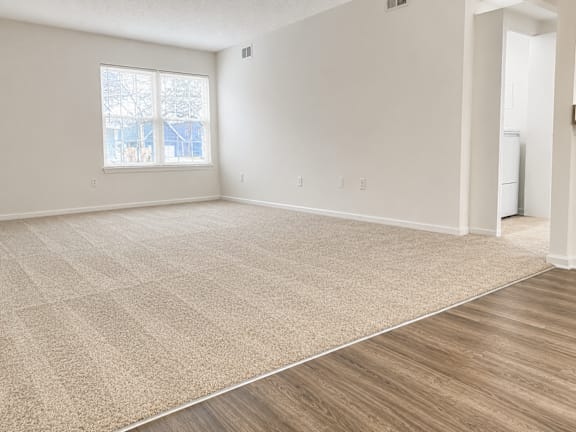 A room with a carpeted floor and a window.
