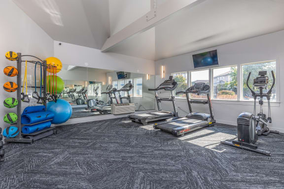 Large gym with treadmills, ellipticals, medicine balls, yoga matts, resistance bands, and yoga balls.