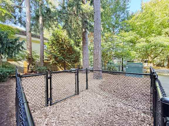 A black fence encloses a tree-filled yard.