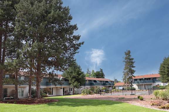 A row of houses with trees in front.