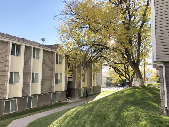 Summit Apartments exterior, paved walkway with grass hill, large tree on the right, and apartments on the left.at Summit, Pocatello