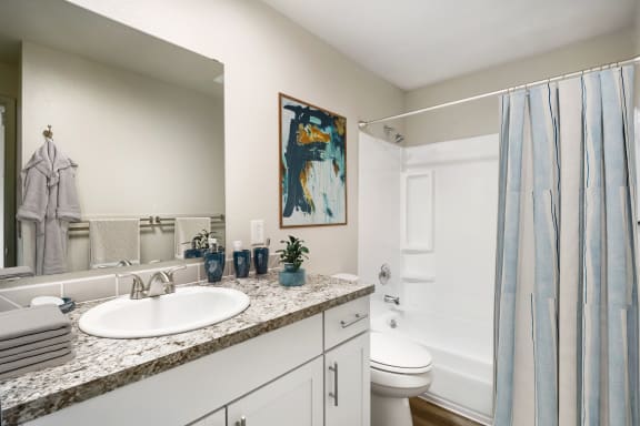 a bathroom with a sink and a toilet and a shower  at Wildflower, Kennewick, WA, 99336