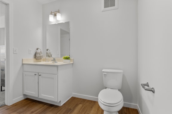 a bathroom with a toilet and a sink and a mirror at Yellowstone Landing, Montana, 59714