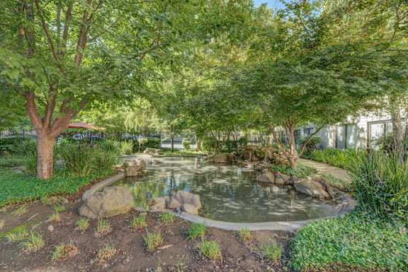 A small pond surrounded by rocks and trees at Campus Commons Senior Living, Sacramento, 95825