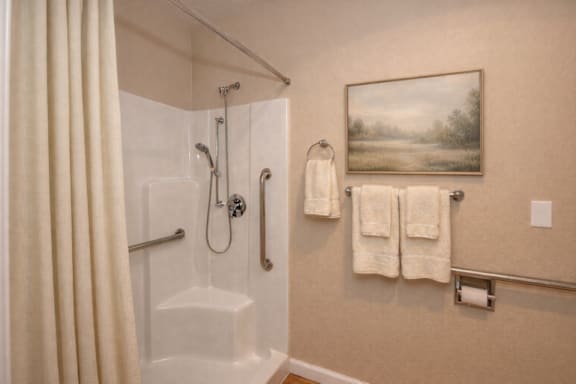 A bathroom with a shower, towel rack, and a painting on the wall.