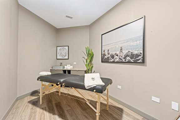 A massage table with a plant on it in a room.
