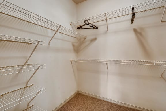 Generous Walk-In Closets With Shelving at Discovery at Craig Ranch, Texas, 75070