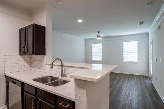 Kitchen with sink and dishwasher at Grand Villas at Cinco Ranch, Texas, 77494