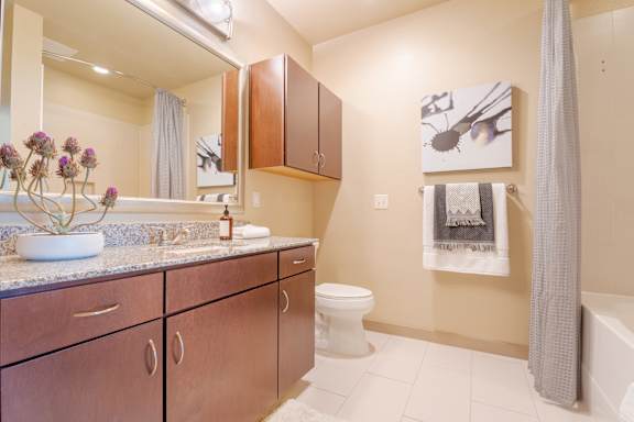 Bathroom with Cabinet at Imperial Lofts, Texas, 77498