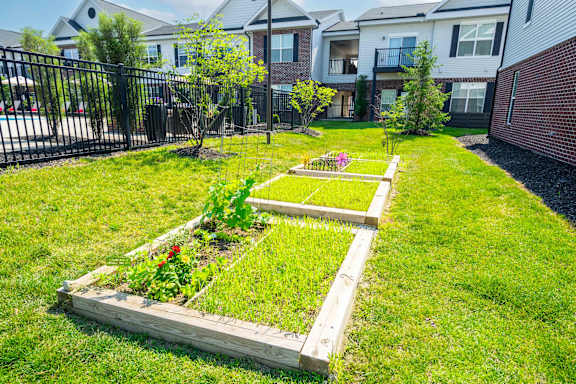 Backyard Green Lawn at Overland Park, Pickerington, OH, 43147