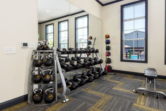 Free Weights at Overland Park, Pickerington, OH, 43147