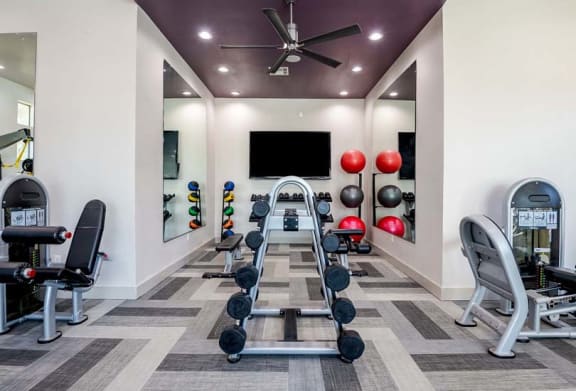 Fully Equipped Fitness Center at Discovery at Craig Ranch, McKinney, 75070