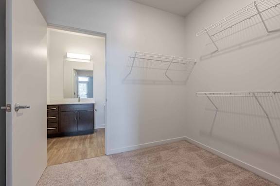 Walk In Closet at Pinnex, Indianapolis, IN, 46203