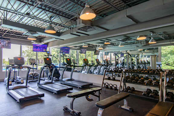 A gym with treadmills, exercise bikes, and dumbbells.