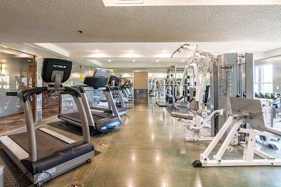 A gym with treadmills and other exercise equipment.