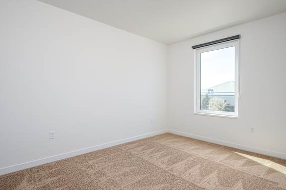 A room with a carpeted floor and a window.