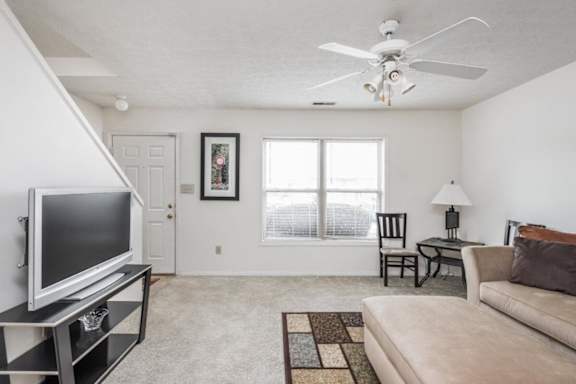 A living room with a television, couch, and a rug.