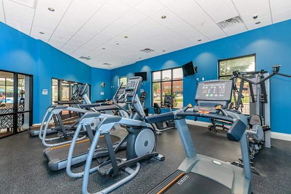 A gym with treadmills, elliptical machines, and a television.