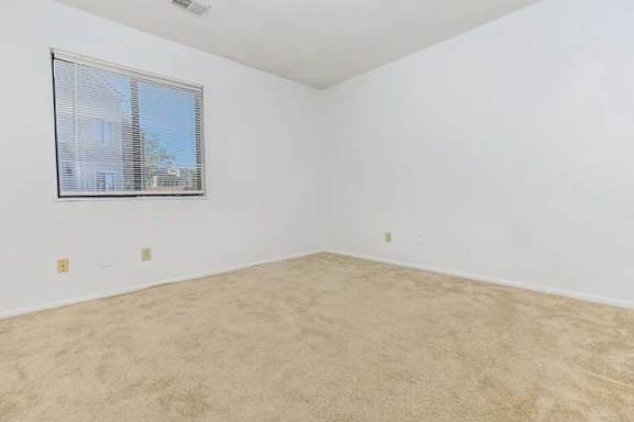 A room with a window and a carpeted floor.