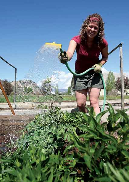 Secured Beautiful Gardens at Enclave Apartments, Colorado, 80640