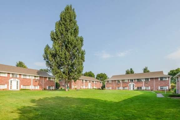 A tree stands in a grassy field in front of a building.