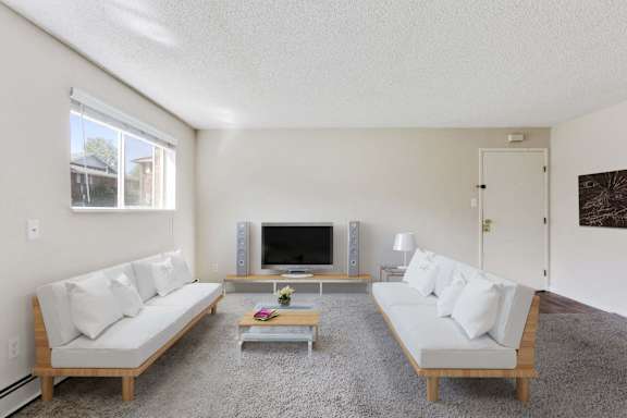 A living room with two couches and a television.