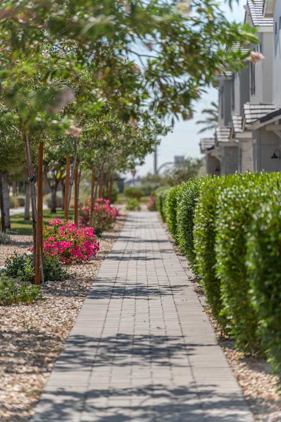 A walkway with a hedge on one side and a row of trees on the other.