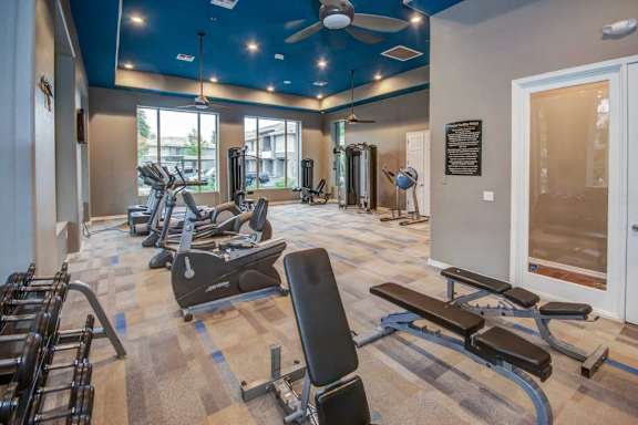 A gym with a variety of equipment including treadmills, weights, and a bench press.