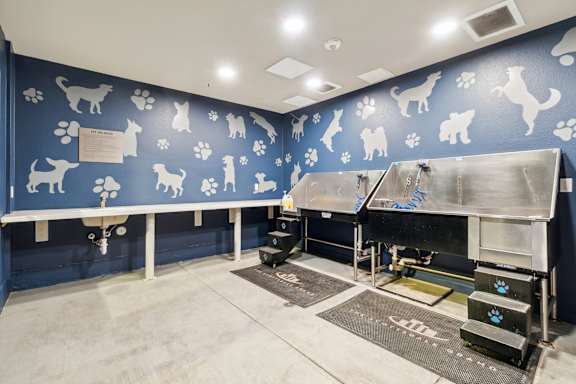 A room with blue walls and white dog silhouettes.