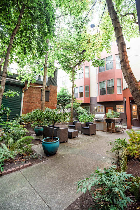 an outdoor courtyard with trees and plants in front of an apartment building at Ellis Court Apartments, Washington, 98121