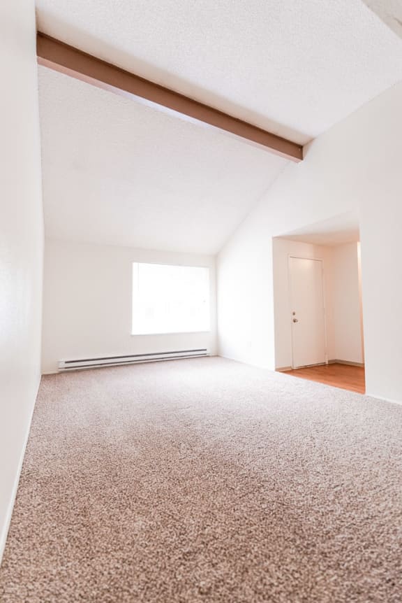 an empty room with a carpeted floor and a window