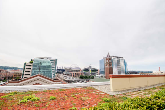 a city skyline with a green roof on top of a building at Icon Apartments, Seattle, WA