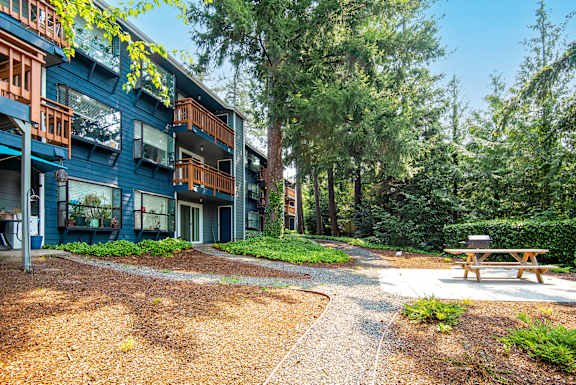 a picnic table in front of a blue building with trees