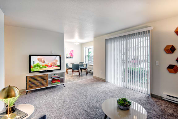 our apartments offer a living room with a tv and a dining room