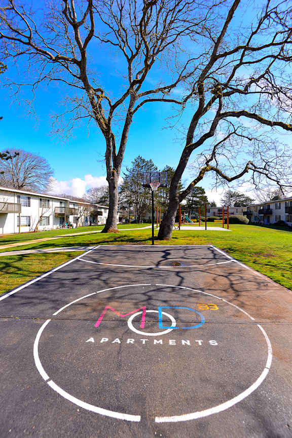 a basketball court in a park with trees