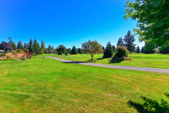 a park with grass and trees and a path at The Lynx Apartments, Everett, 98204