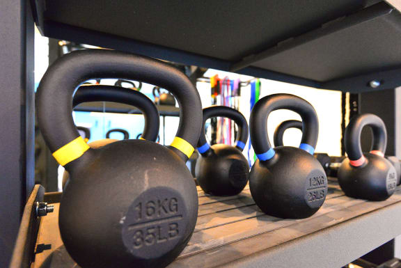 a row of dumbbells on a shelf in a gym at The Lynx Apartments, Everett, WA, 98204