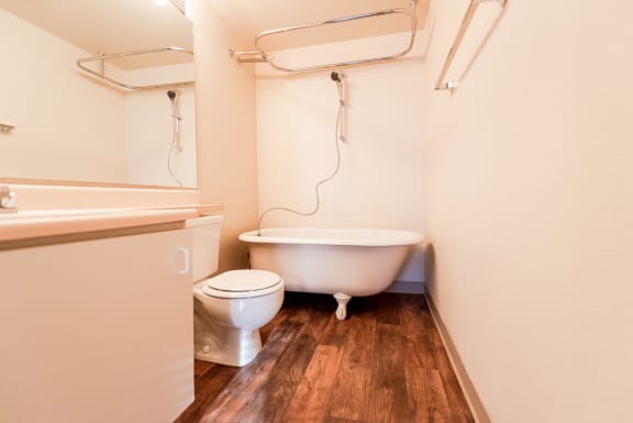 a bathroom with a toilet and a bath tub and a sink at Zindorf, Seattle, WA