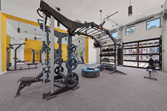A gym with a variety of equipment including a squat rack, bench, and weights.