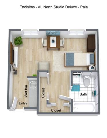 A floor plan of a studio apartment with a closet, bathroom, and living area.