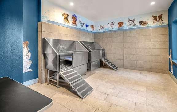 A kitchen area with a staircase leading to a loft.